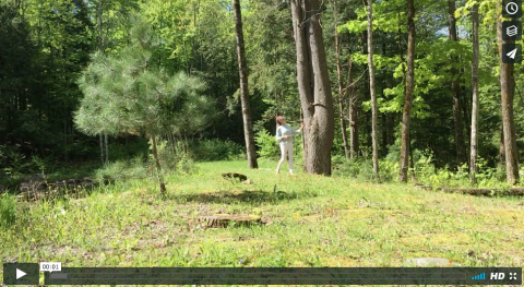 Prévention de la maladie de Lyme, piqûres insectes. Conseil santé Homeopathe.ca dans la forêt