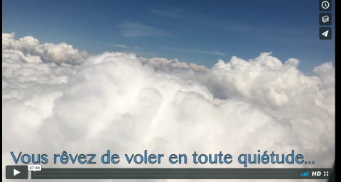 Soigner la phobie de voler en avion. Conseils santé de Ingrid Schutt, Homeopathe.ca en avion