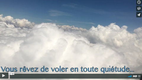 (Français) Soigner la phobie de voler en avion. Conseils santé de Ingrid Schutt, Homeopathe.ca en avion